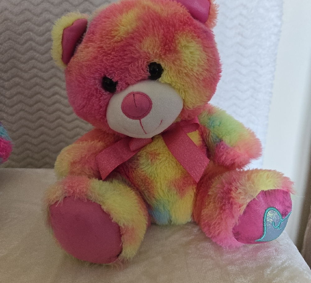 Colorful Plush Teddy Bear